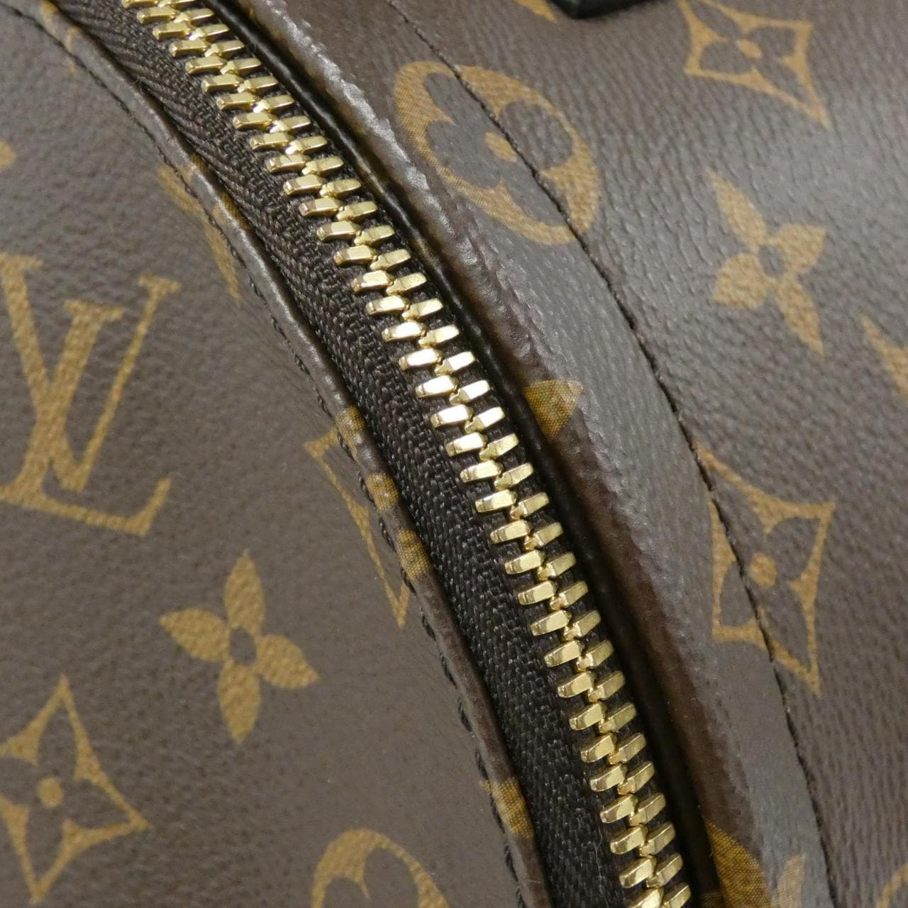 LOUIS VUITTON Monogram Palm Springs 背包 PM M44871双肩包