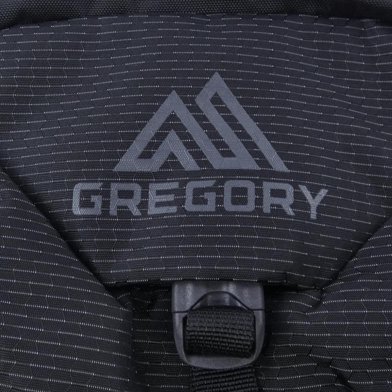 グレゴリー GREGORY BACKPACK