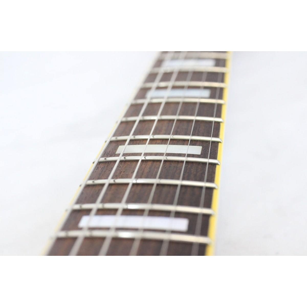 ＧＵＩＬＤ　　ＢＬＵＥＳＢＩＲＤ