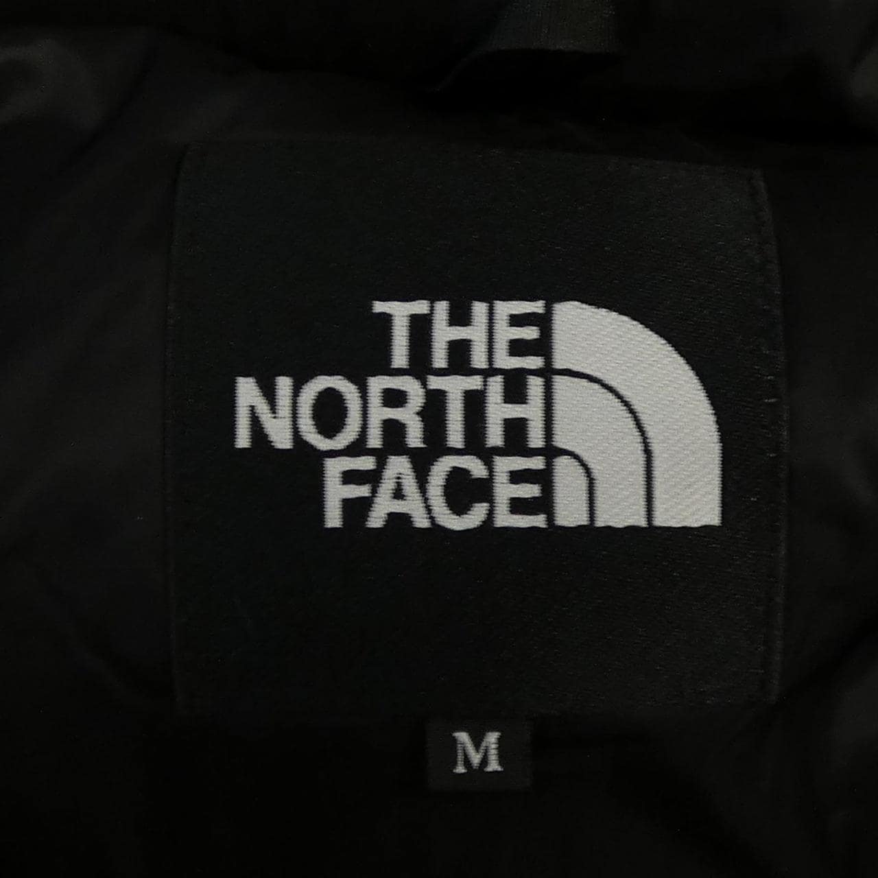 The North Face ND91950 Down Jacket