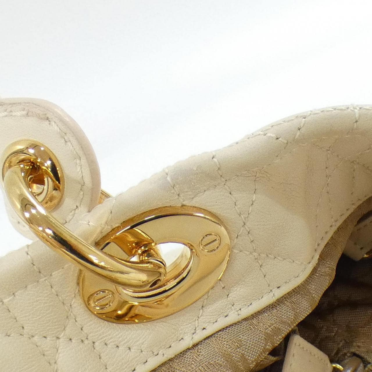 クリスチャンディオール ソフト レディ ディオール バッグ