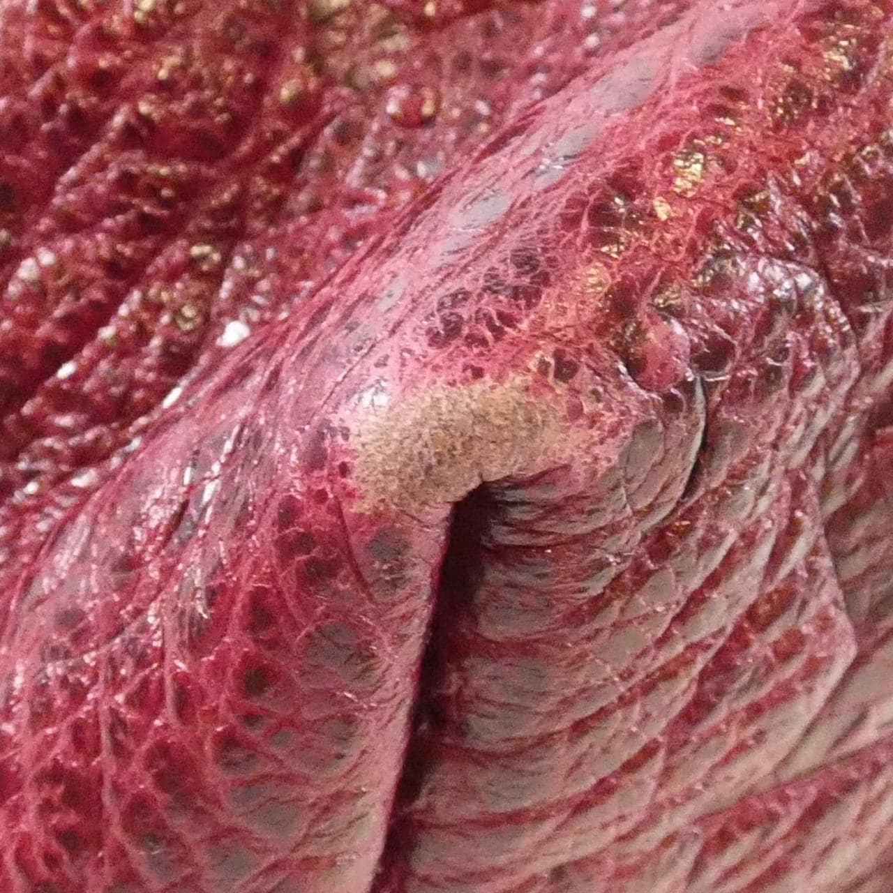 ルイヴィトン モノグラム ブロックス モノグラム ブロックス トート M40503 ショルダーバッグ