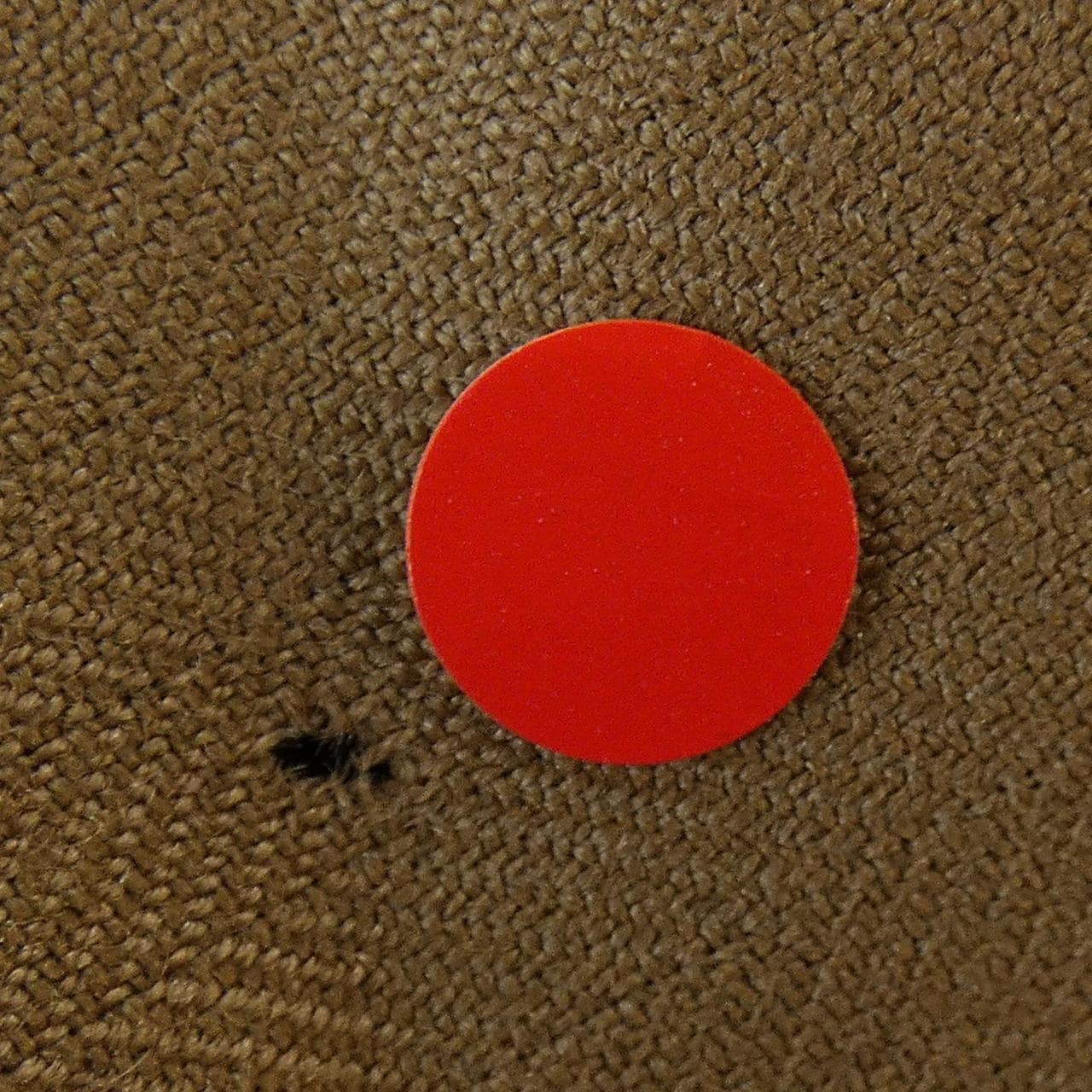 ティッカ TICCA ワンピース