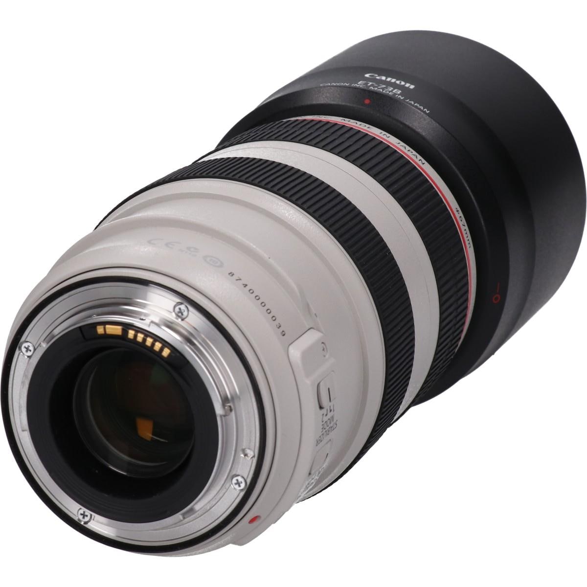 EF70-300mm F4-5.6L IS USM