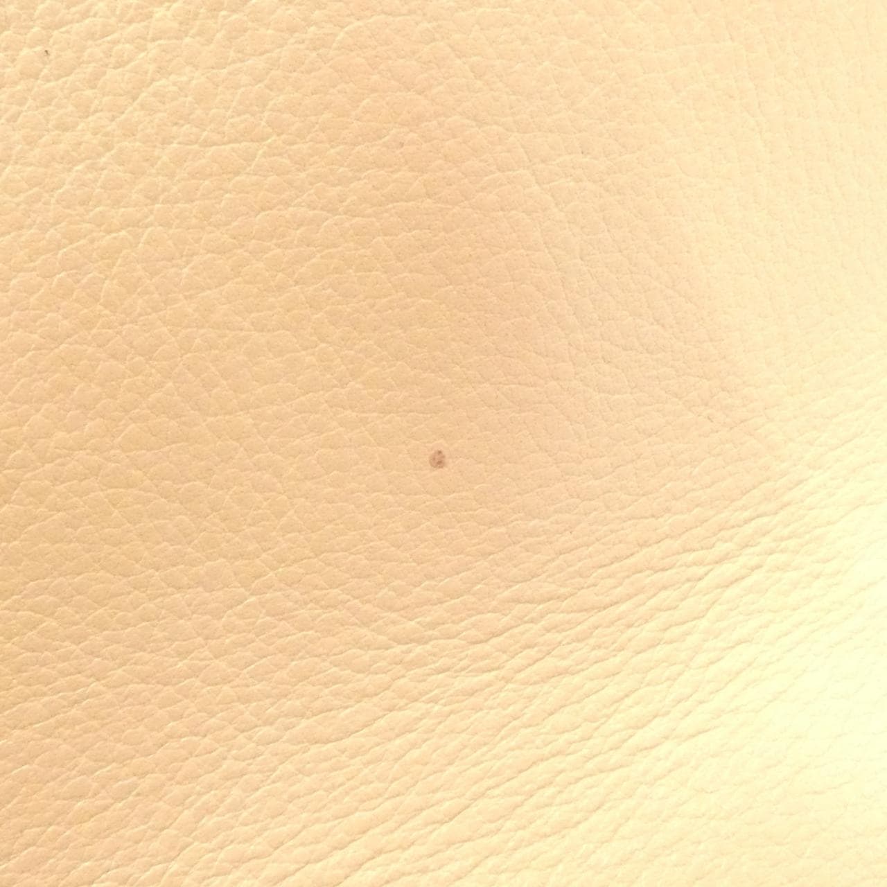 セリーヌ バッグ