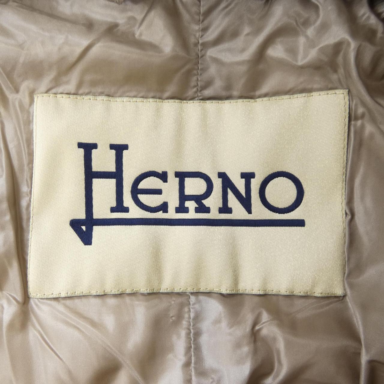 Herno PI0653D Down Coat