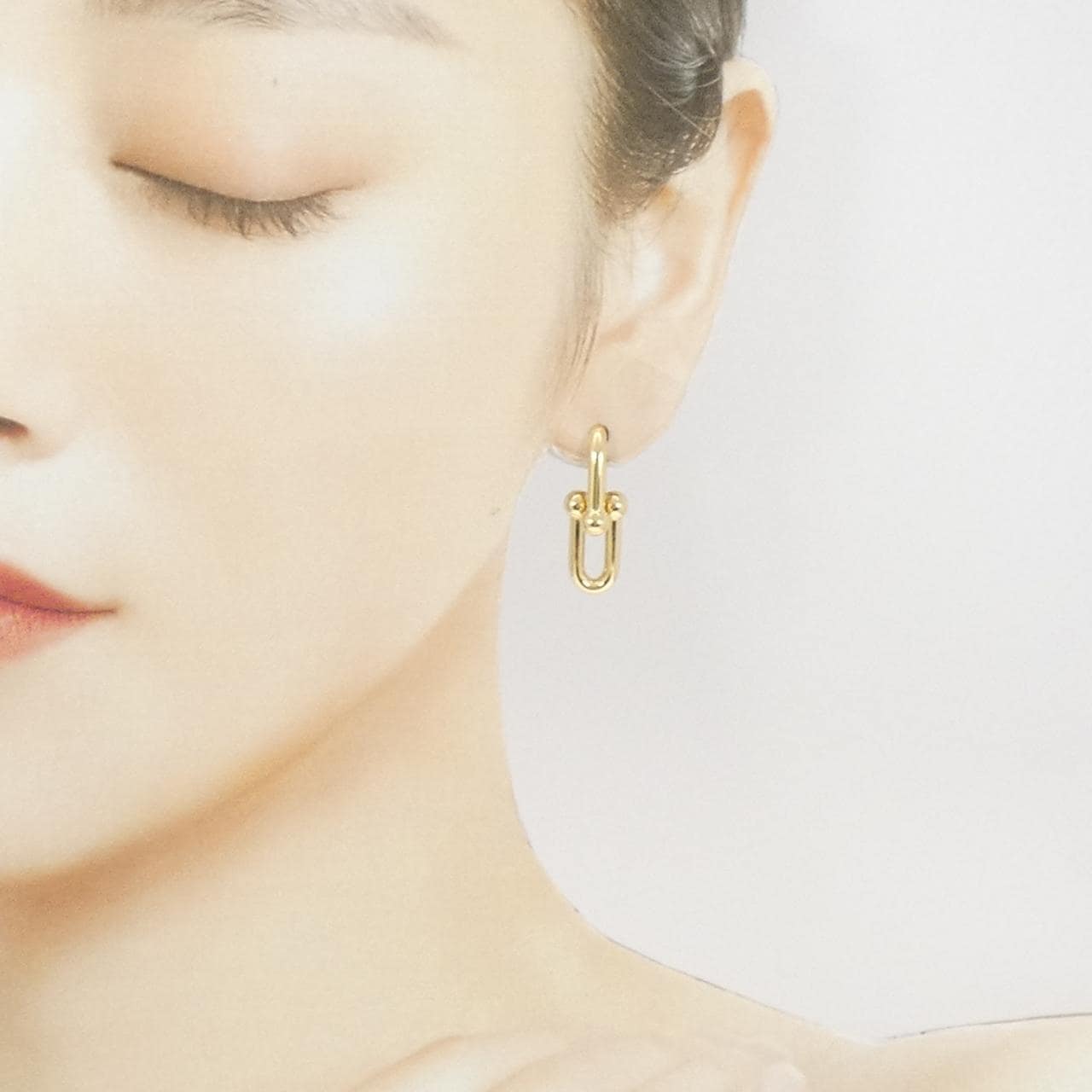 TIFFANY HARDWEAR medium link earrings