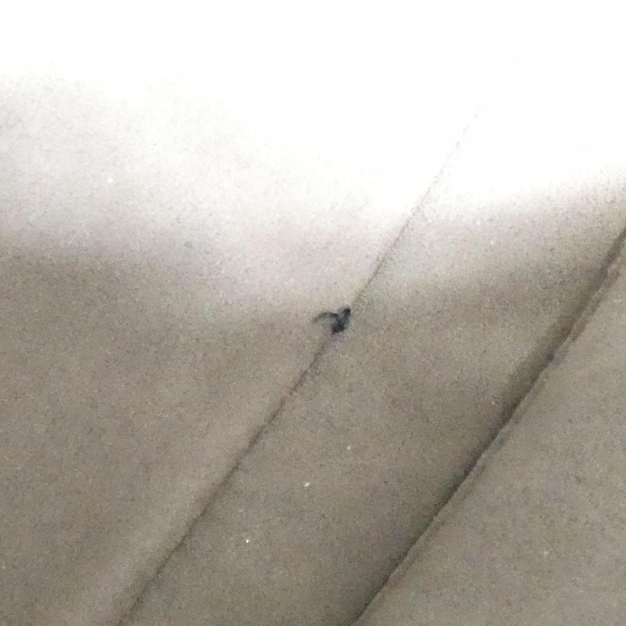 グッチ 429019 KGDHN バッグ