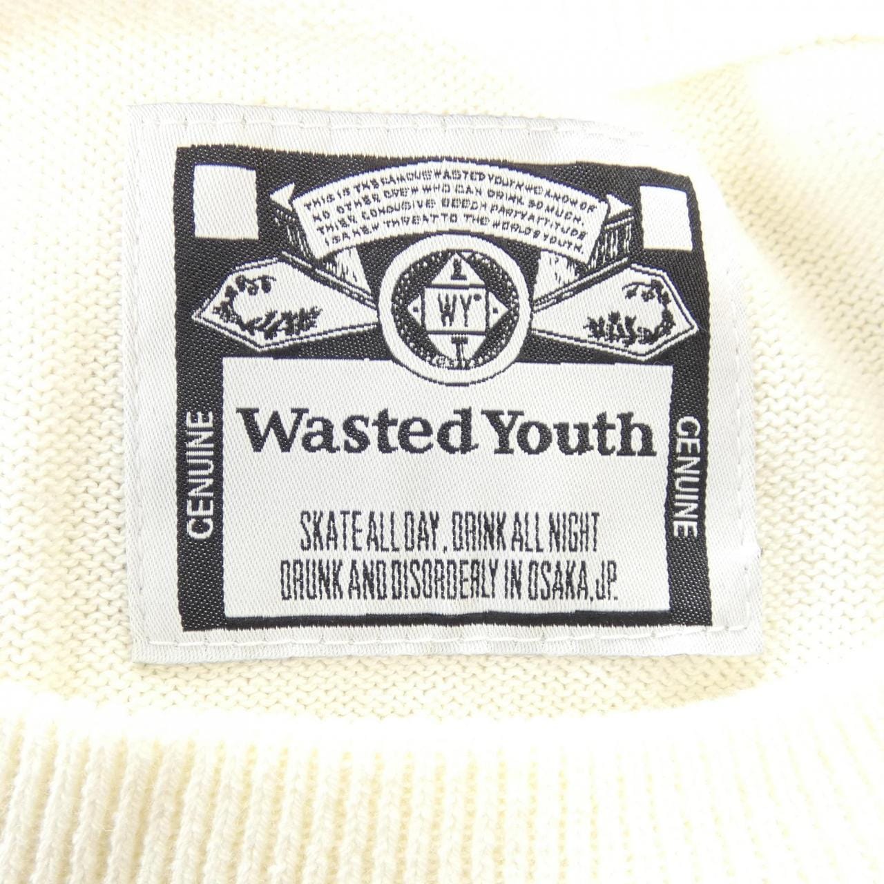 Wasted Youth Youth Knit