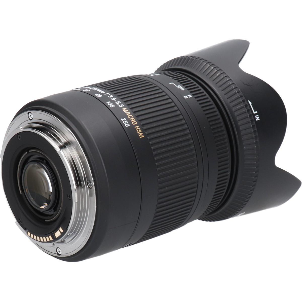 ＥＯＳ１８－２５０ｍｍ　Ｆ３．５－６．３ＤＣ