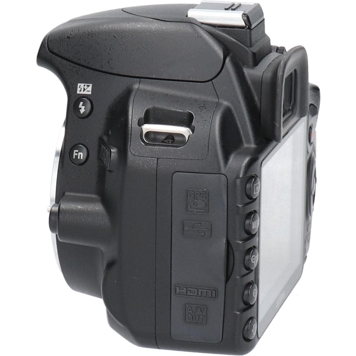 Ｄ３１００