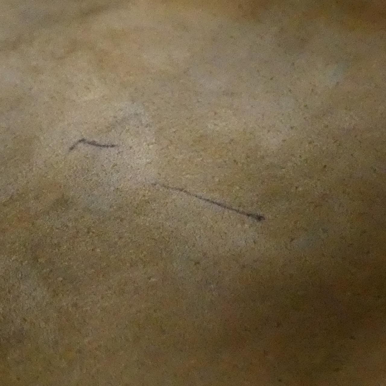 ボッテガヴェネタ 115653 V0013 ショルダーバッグ