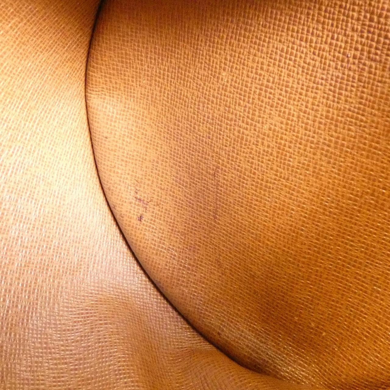 LOUIS VUITTON Monogram Papillon 26 公分 M51386 包