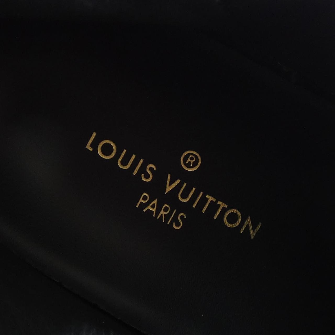LOUIS VUITTON運動鞋