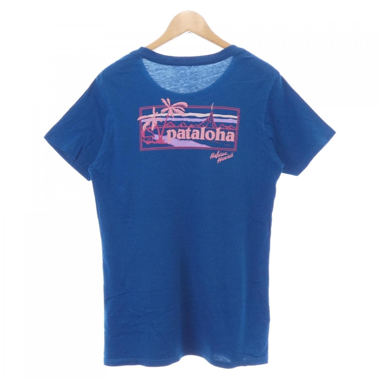 パタゴニア PATAGONIA Tシャツ