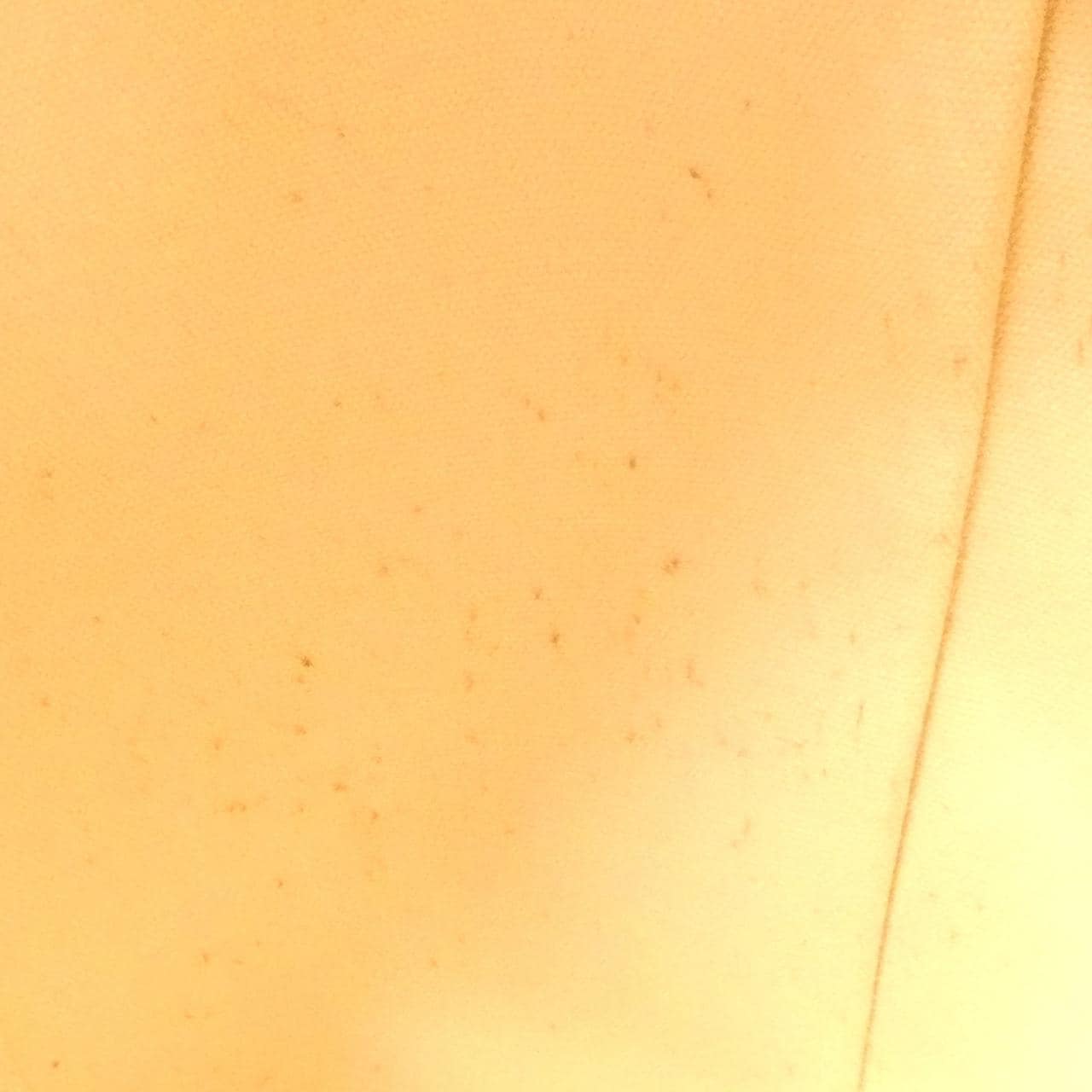 ルイヴィトン ヴェルニ モンテベロ PM M90167 バッグ