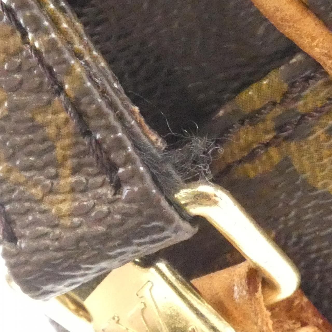 LOUIS VUITTON Monogram Amazon M45236 單肩包
