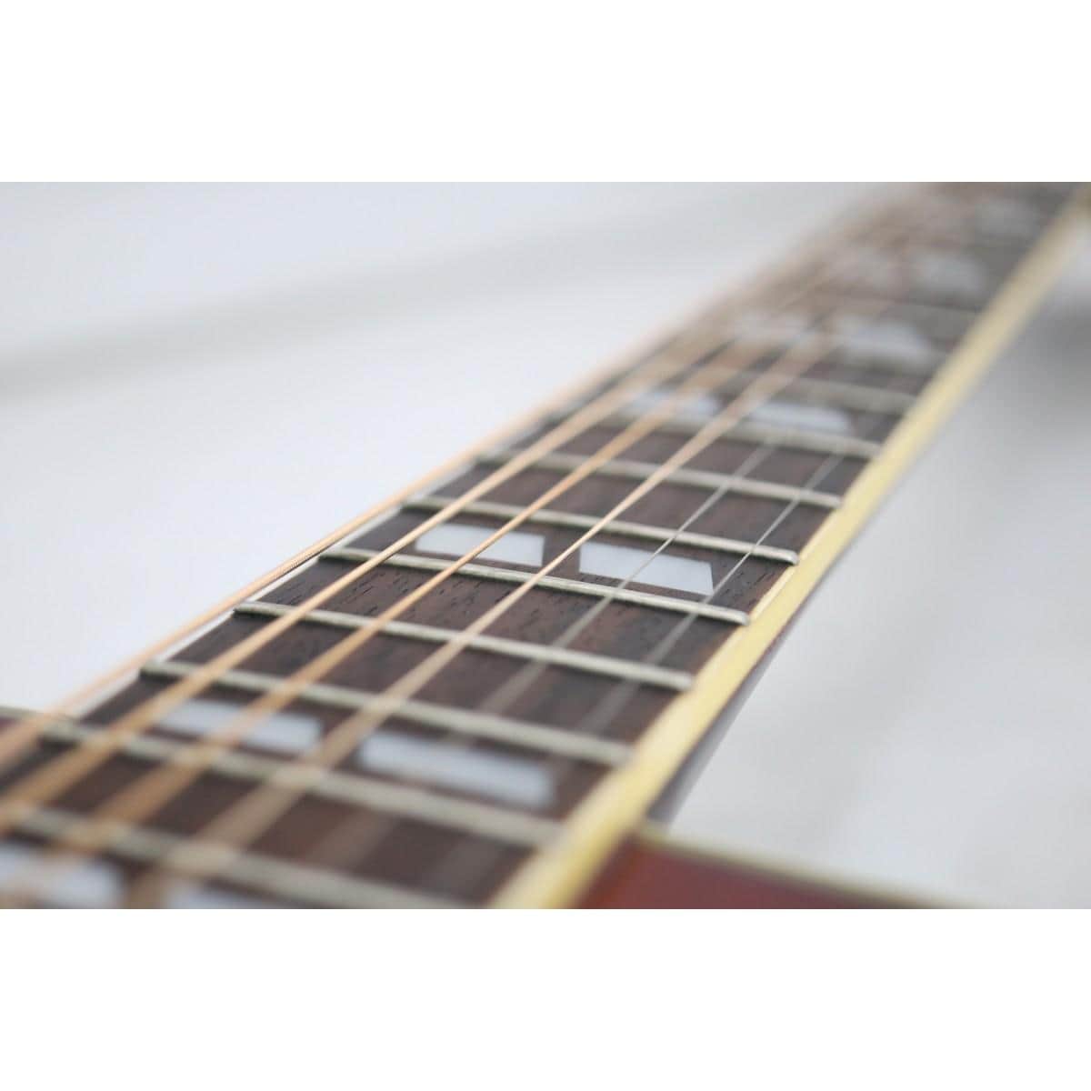 ＥＰＩＰＨＯＮＥ　ＨＵＭＭＩＮＧＢＩＲＤ