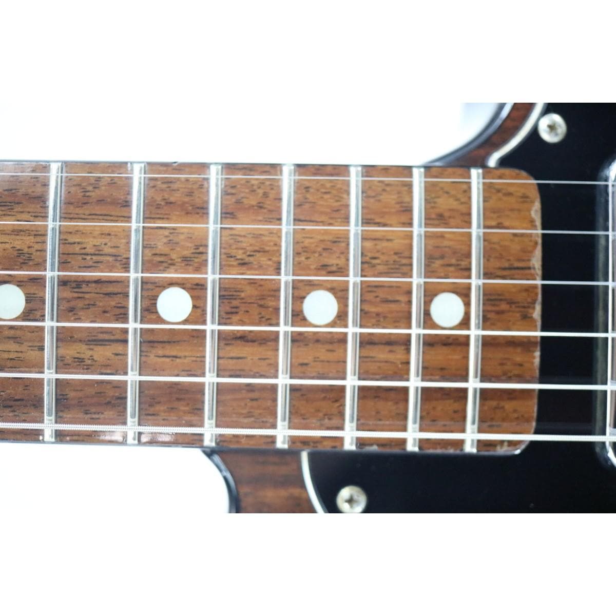 ＦＥＮＤＥＲ　ＪＡＰＡＮ　ＴＬ－ＲＯＳＥ