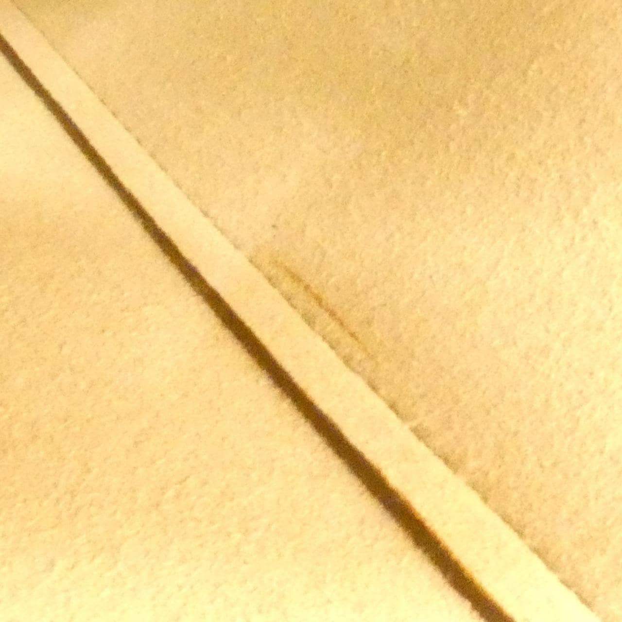 トッズ ゴンミーニ バッグ
