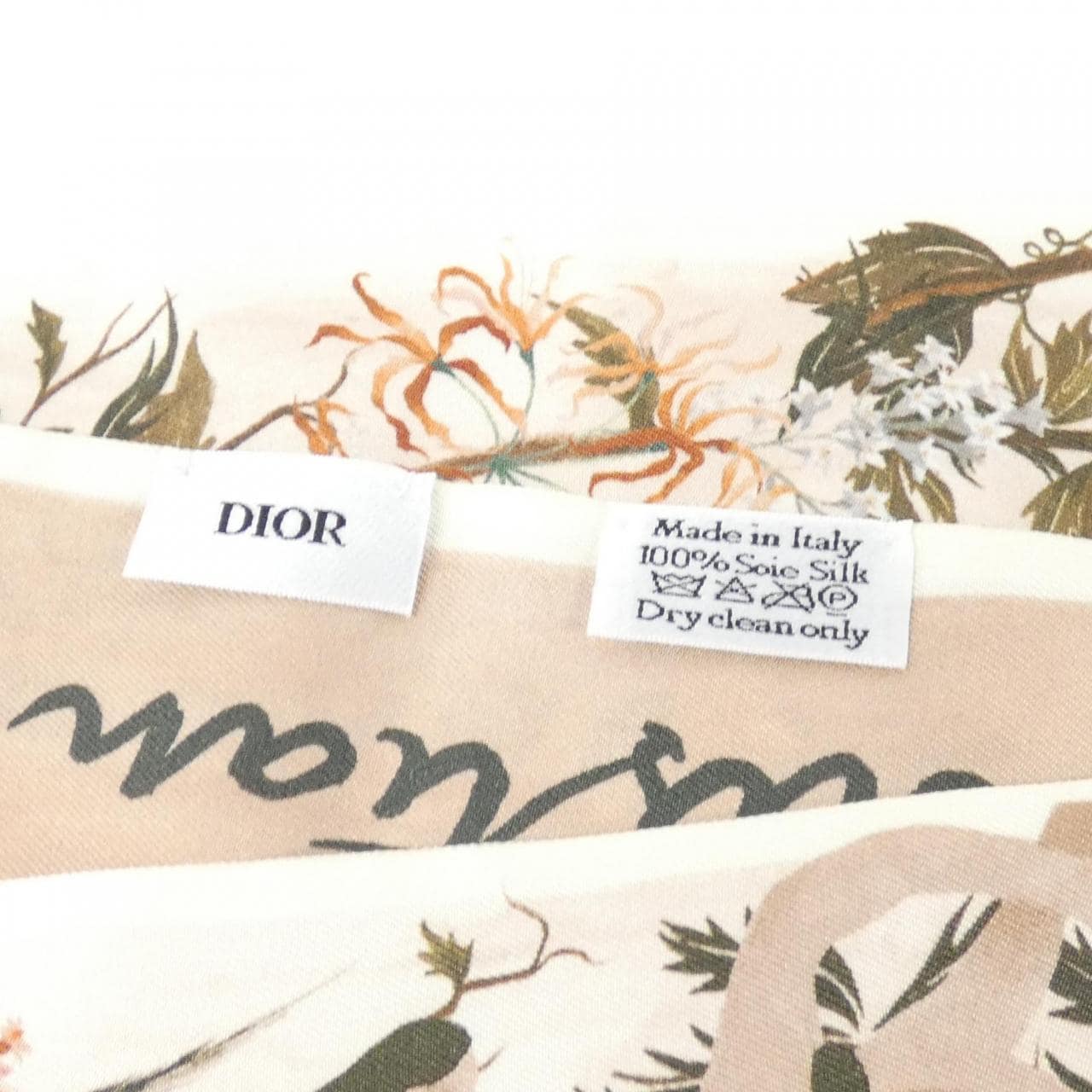 Christian DIOR 02MDA106I600 Scarf