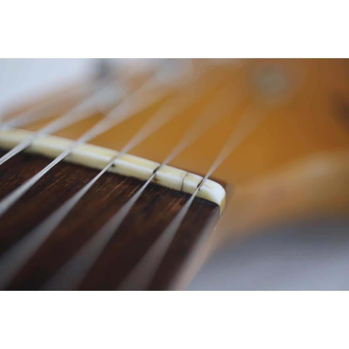 ＦＥＮＤＥＲ　ＪＡＰＡＮ　　ＭＧ６９－６０