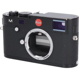 Ｍ（ＴＹＰ２４０）