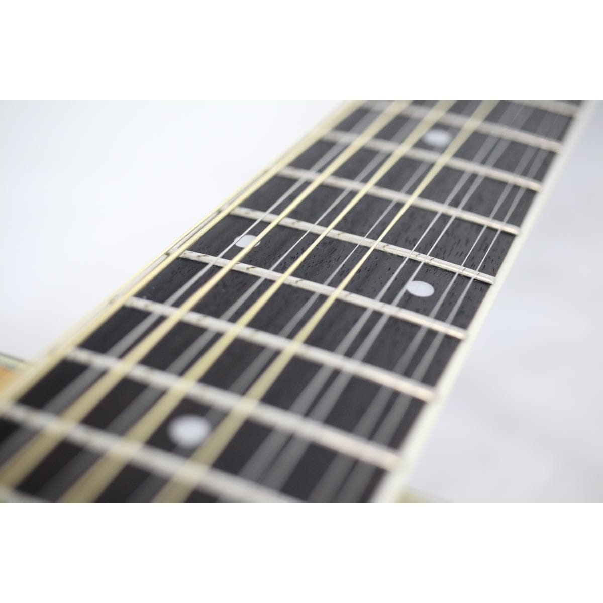 ＭＯＲＲＩＳ　　Ｂ－４０