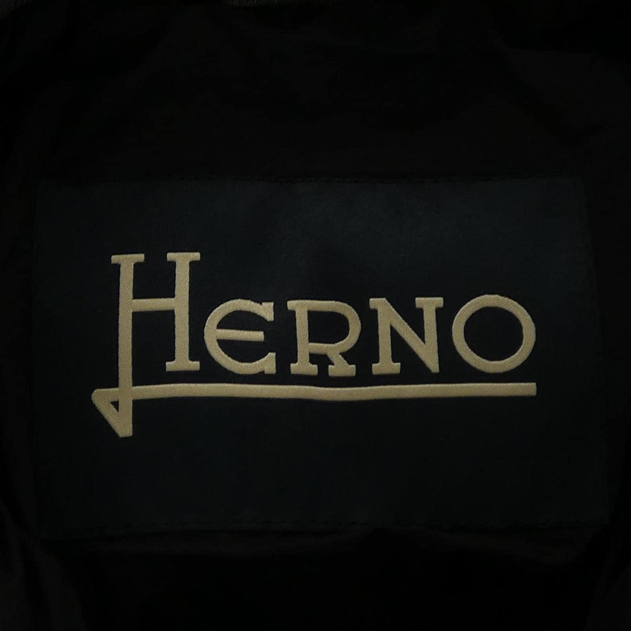 ヘルノ Herno PI0609U ダウンジャケット