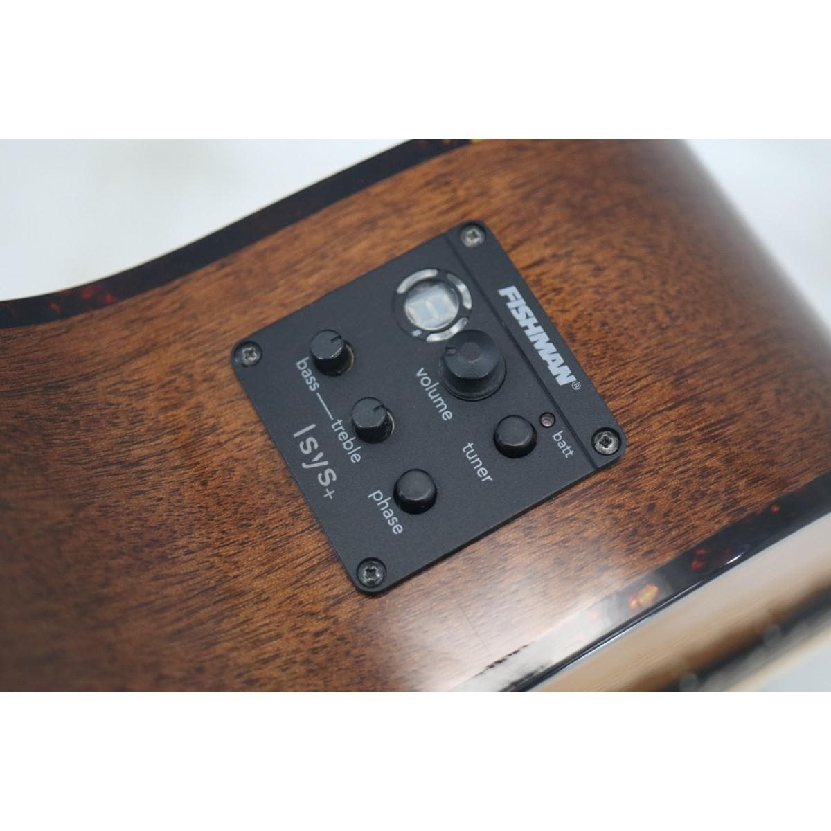 ＢＲＥＥＤＬＯＶＥ　ＰＵＲＳＵＩＴ　Ｃ３１ＣＥ