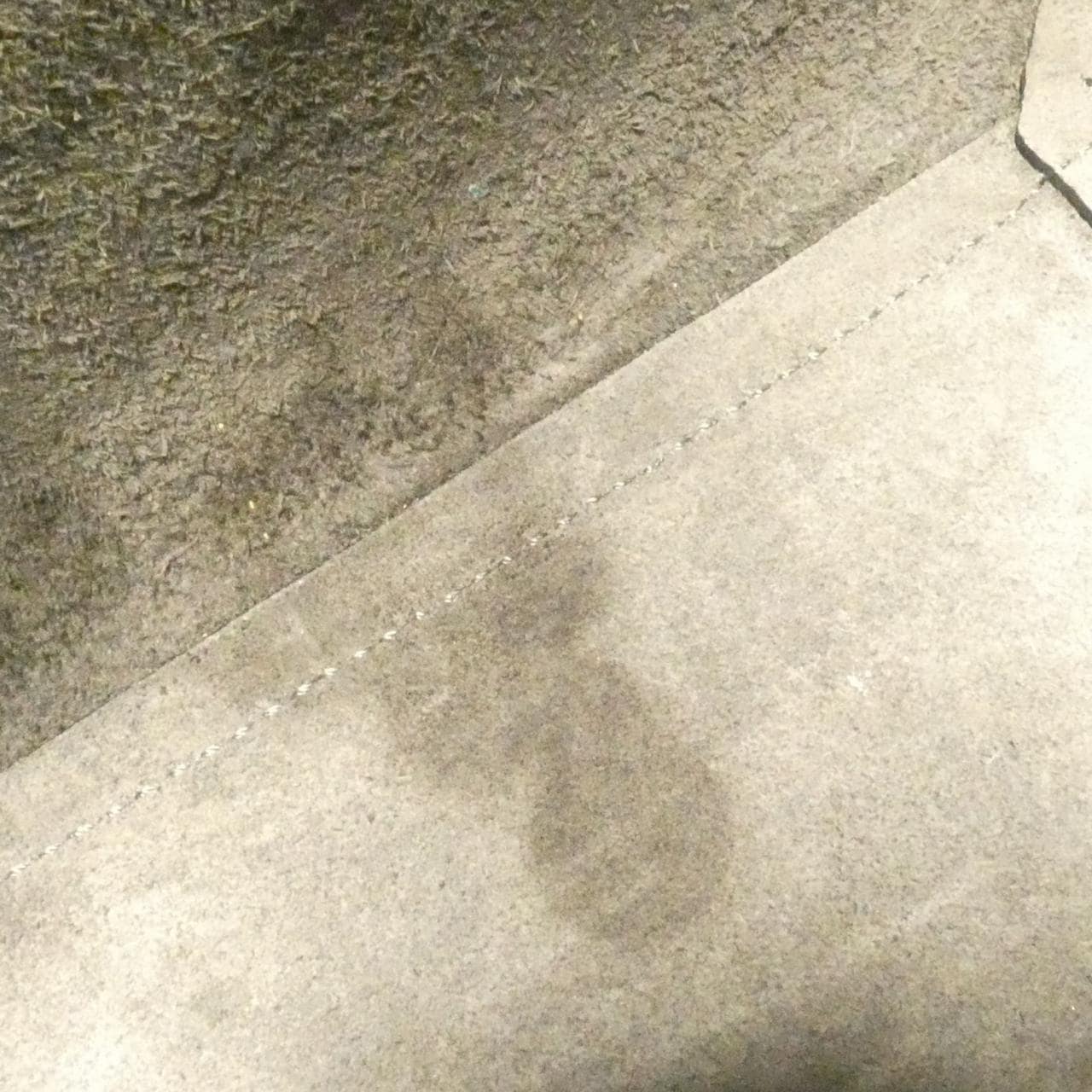 セリーヌ ナノ ベルト 189003ZVA バッグ