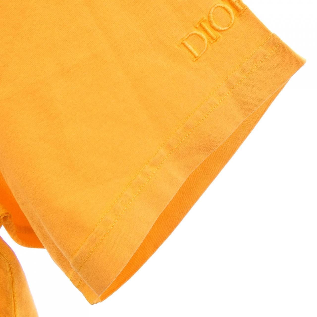 ディオール DIOR PETER DOIG 143J649A0677 Tシャツ
