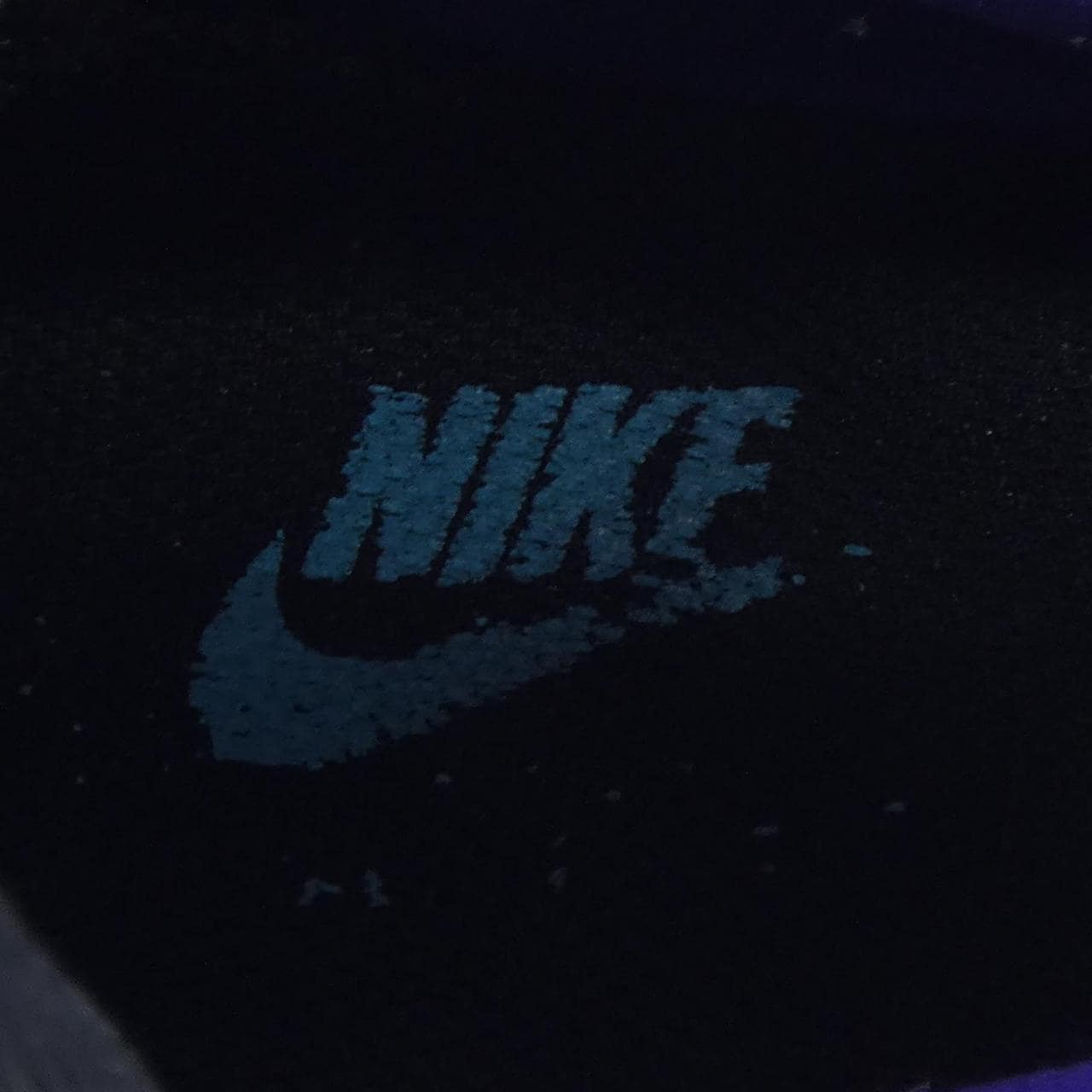 ナイキ NIKE AO2450-002 スニーカー