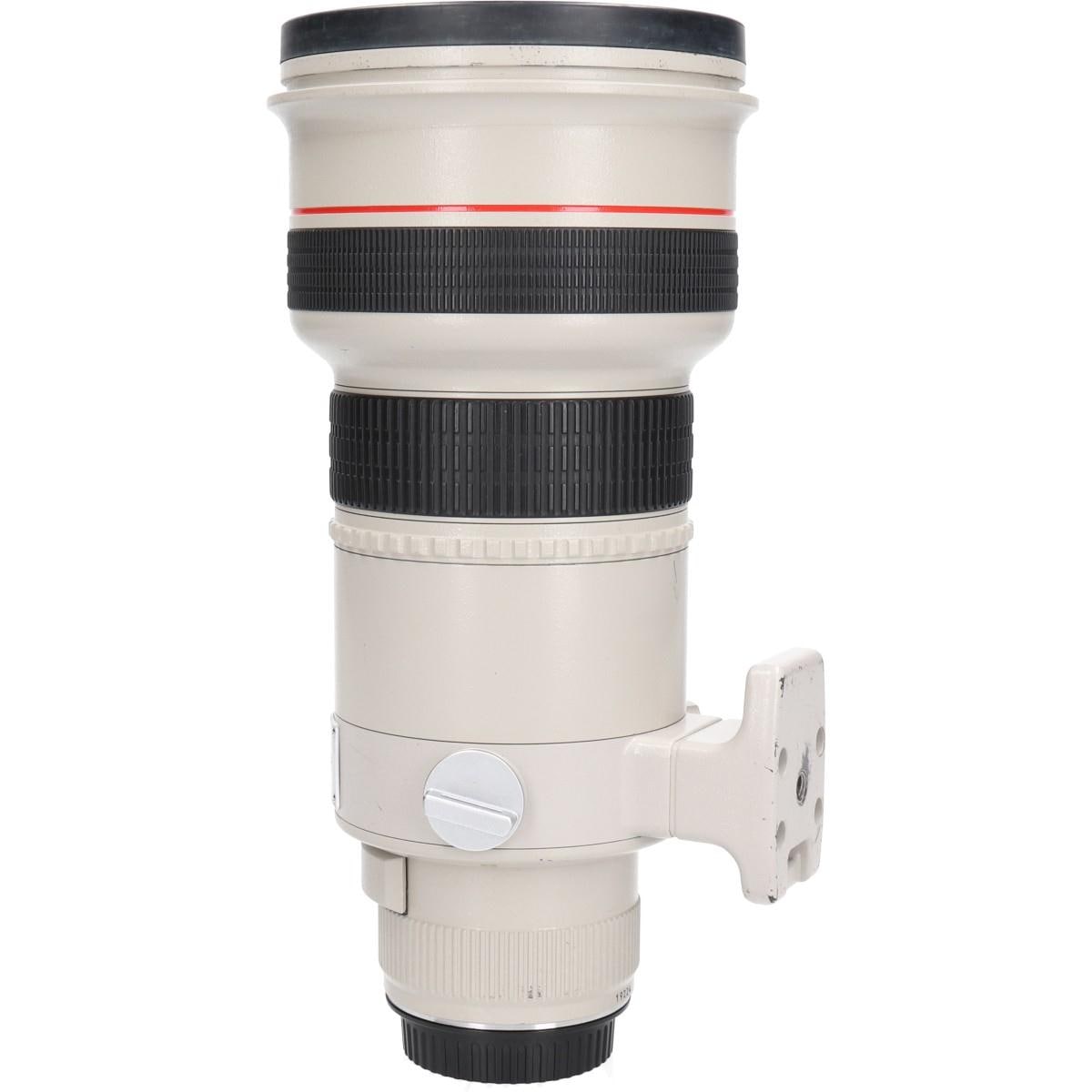 ＥＦ３００ｍｍ　Ｆ２．８Ｌ　ＵＳＭ