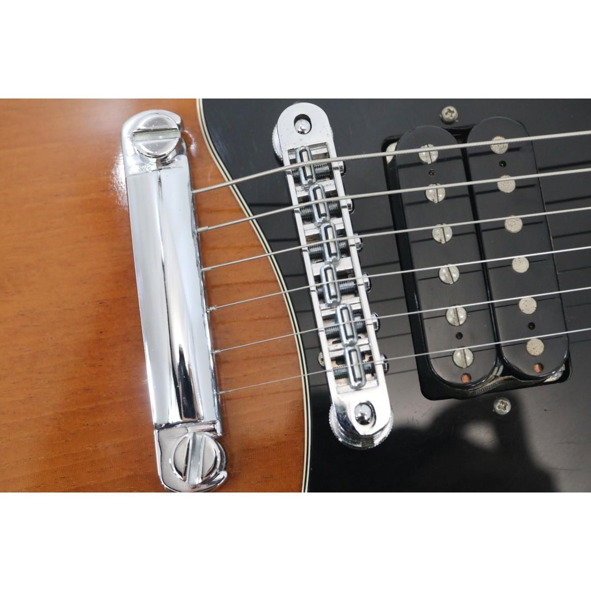 ＧＩＢＳＯＮ　　ＲＯＢＯＴＯ　ＳＧ　ＳＰＥＣＩＡＬ　ＶＥＲ　２
