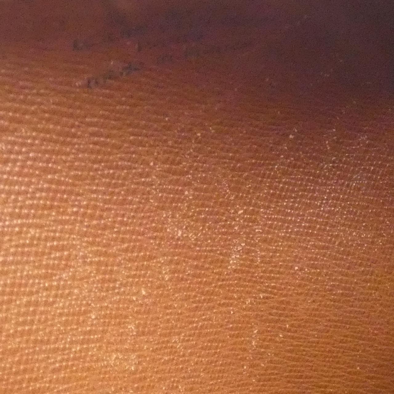 ルイヴィトン モノグラム パピヨン 30cm M51365 バッグ