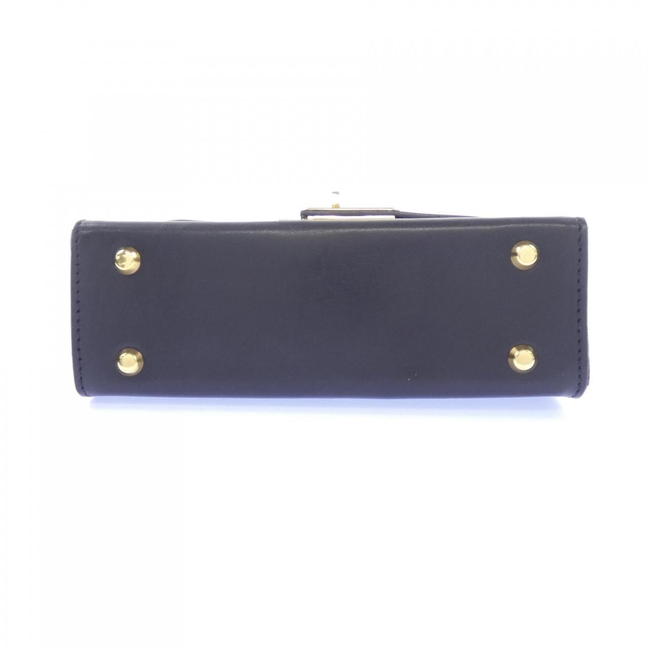 シータパランティカ sita parantica BAG