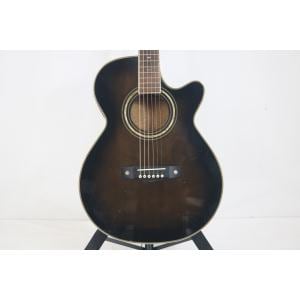 ＩＢＡＮＥＺ　　ＡＷＧ１０００Ｅ