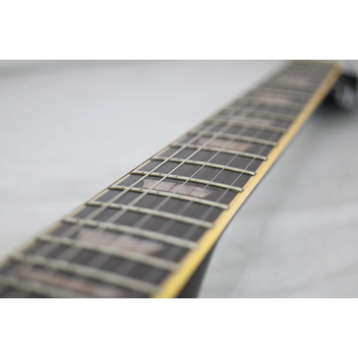 ＥＰＩＰＨＯＮＥ　ＬＥＳ　ＰＡＵＬ　ＳＴＡＮＤＡＲＤ