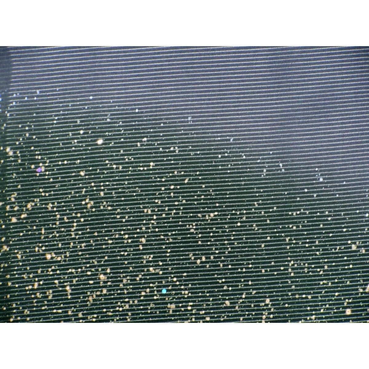 単衣　駒絽訪問着【二代目久保田一竹】