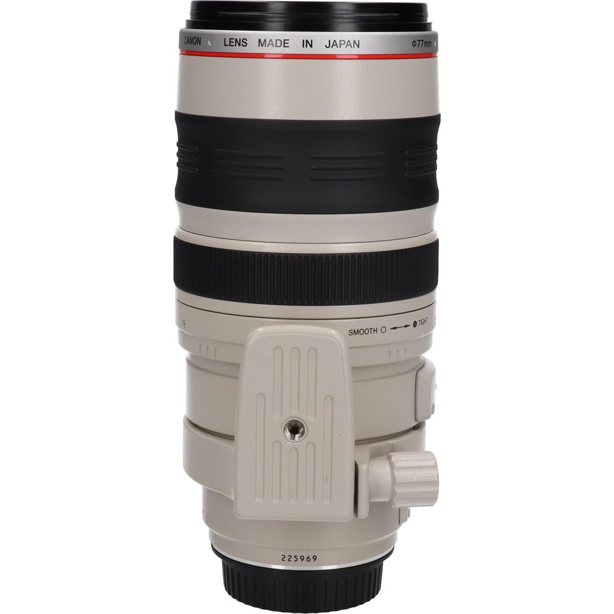 EF100-400mm F4.5-5.6L IS USM