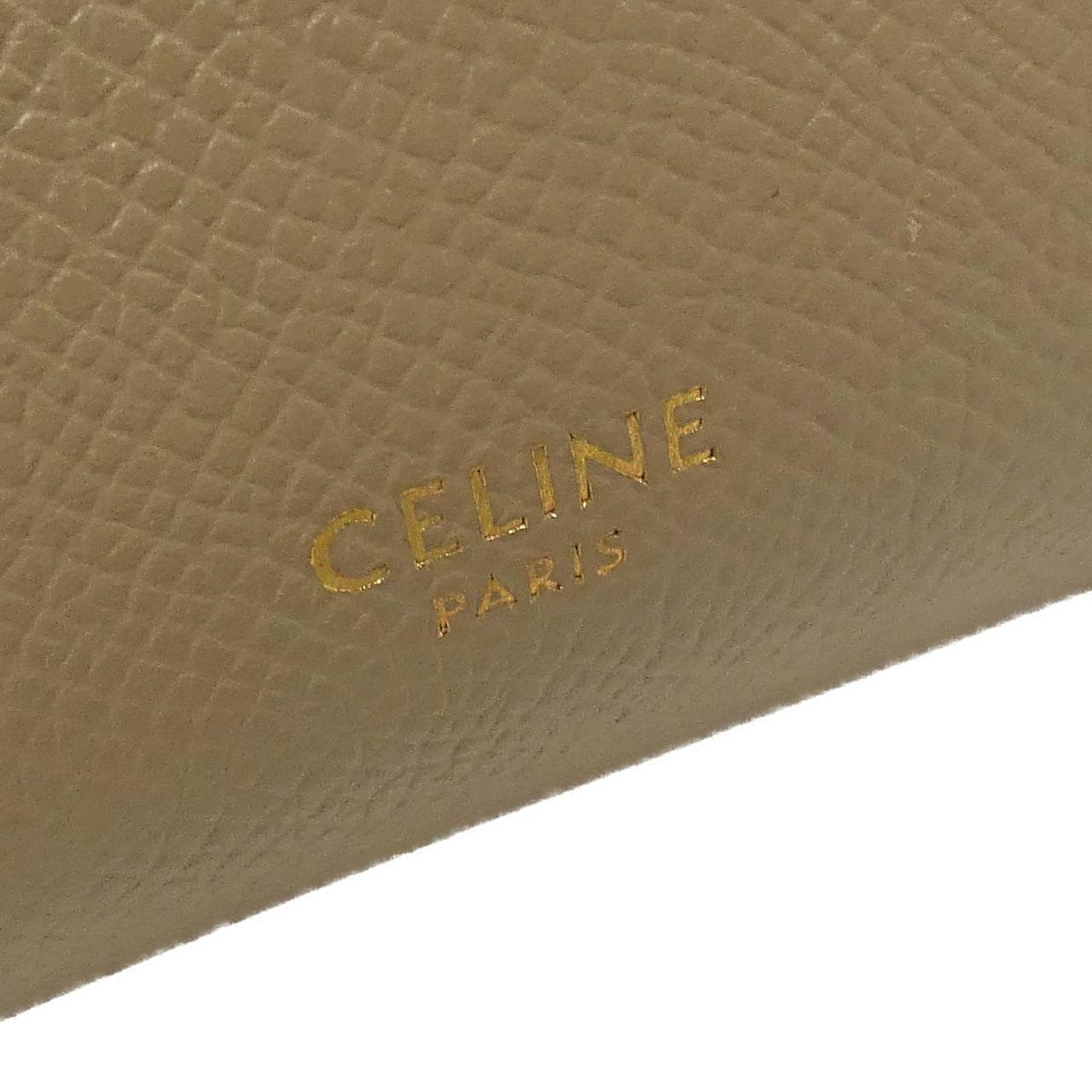 CELINE Pico Belt 194263ZVA Bag