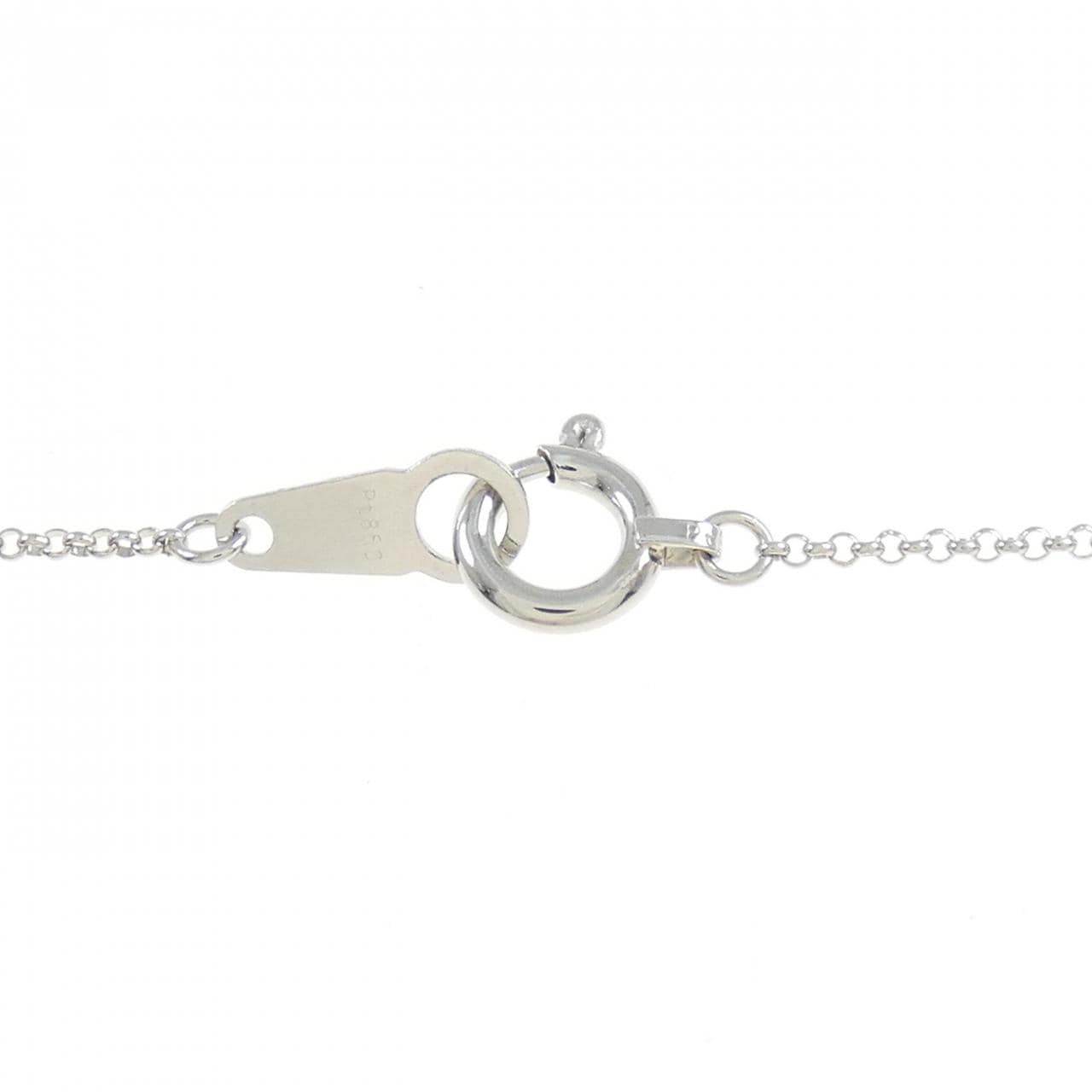 PT850 Chain Necklace