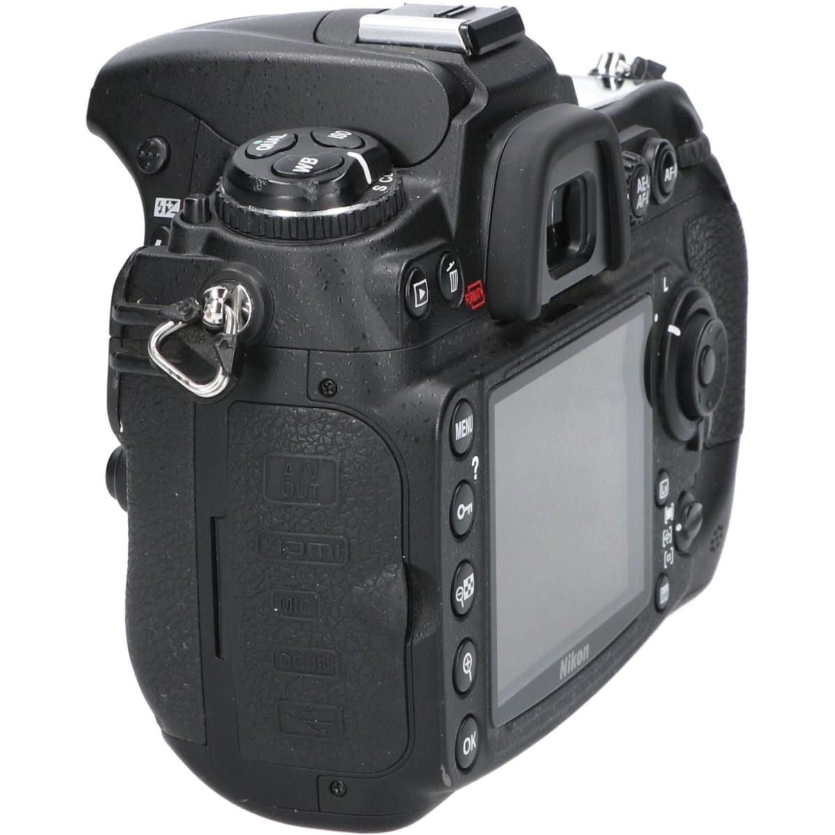 D300S