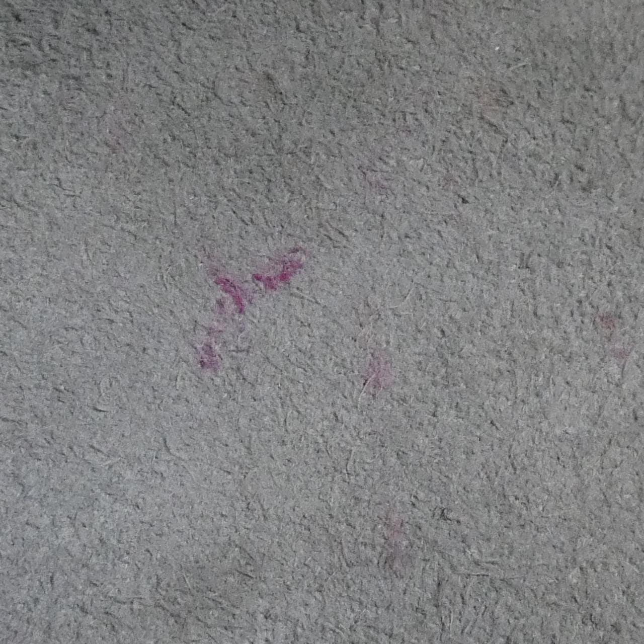 クリスチャンディオール ディオールトラベル スモール バニティ S5488UNTR バッグ