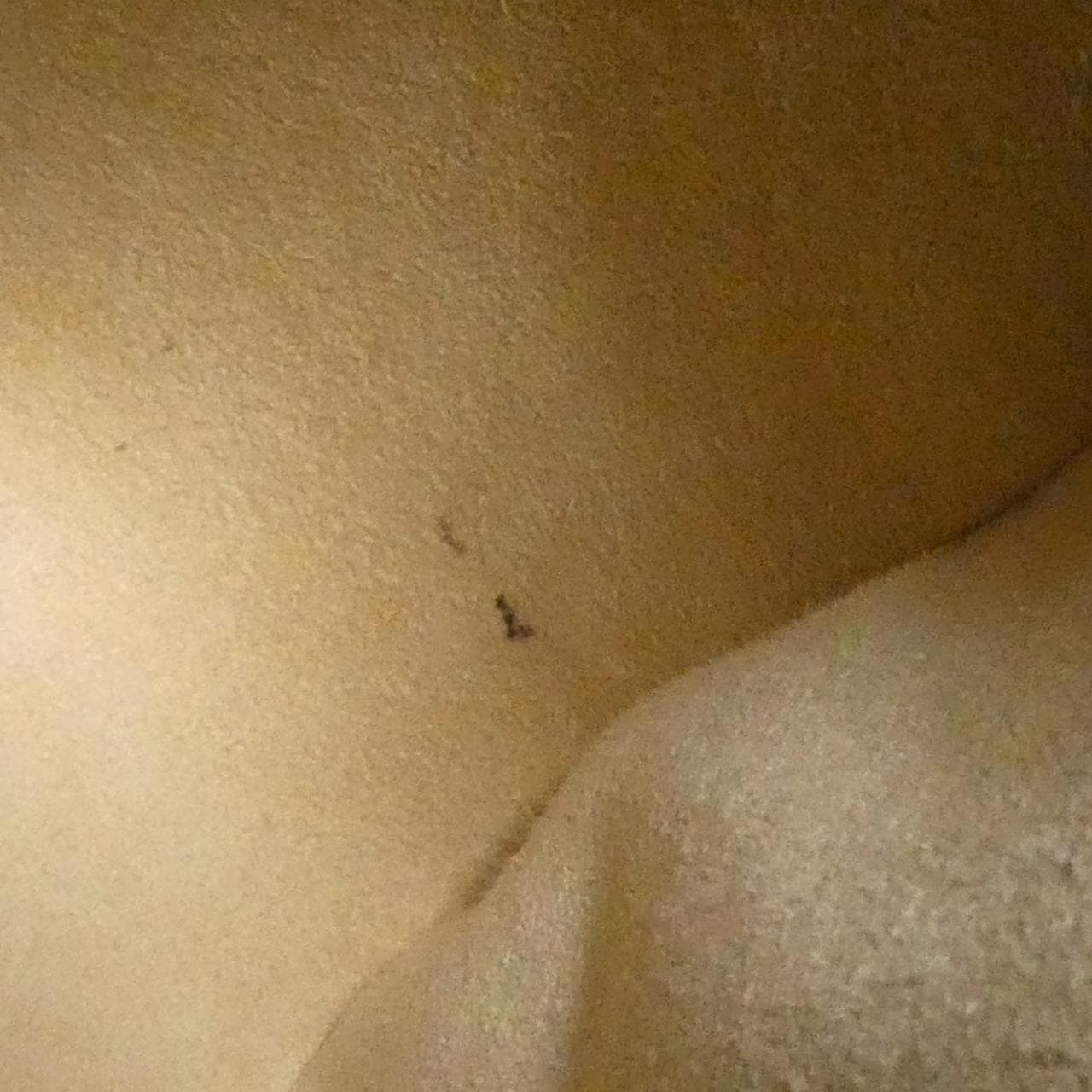 ルイヴィトン モノグラム ルーピング MM M51146 ショルダーバッグ