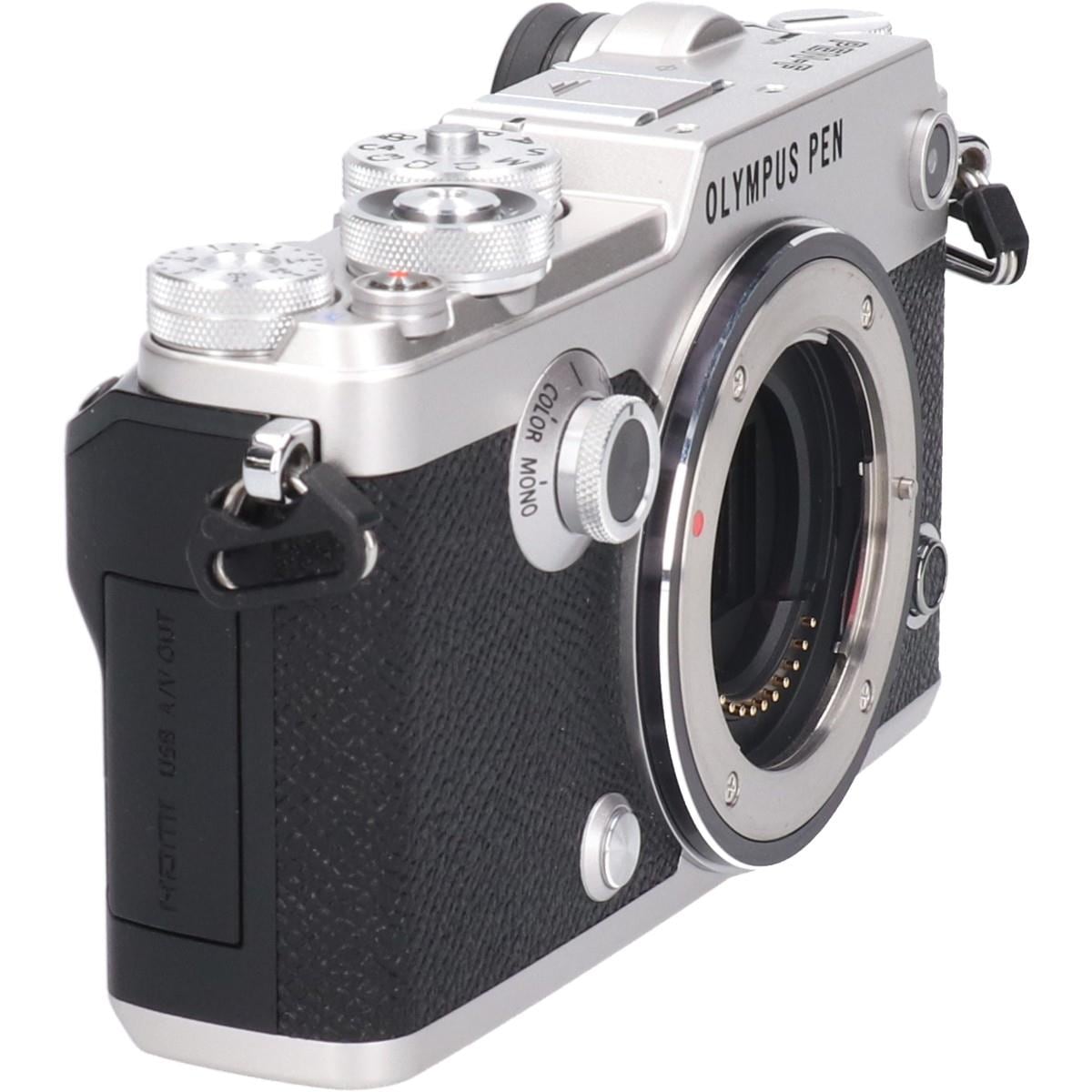 ＰＥＮ－Ｆ　シルバー