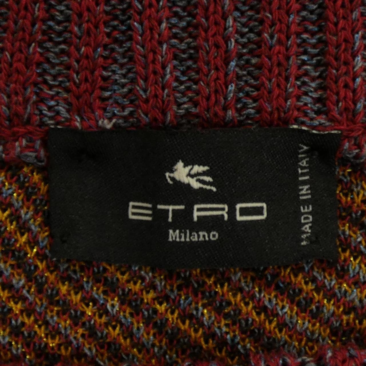 エトロ ETRO スカート
