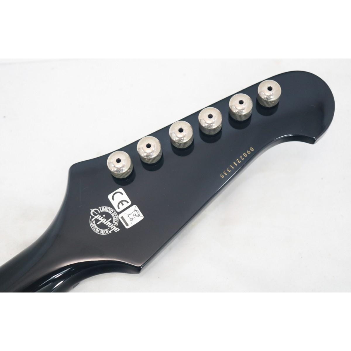 ＥＰＩＰＨＯＮＥ　　ＦＩＲＥＢＩＲＤ　ＳＴＵＤＩＯ