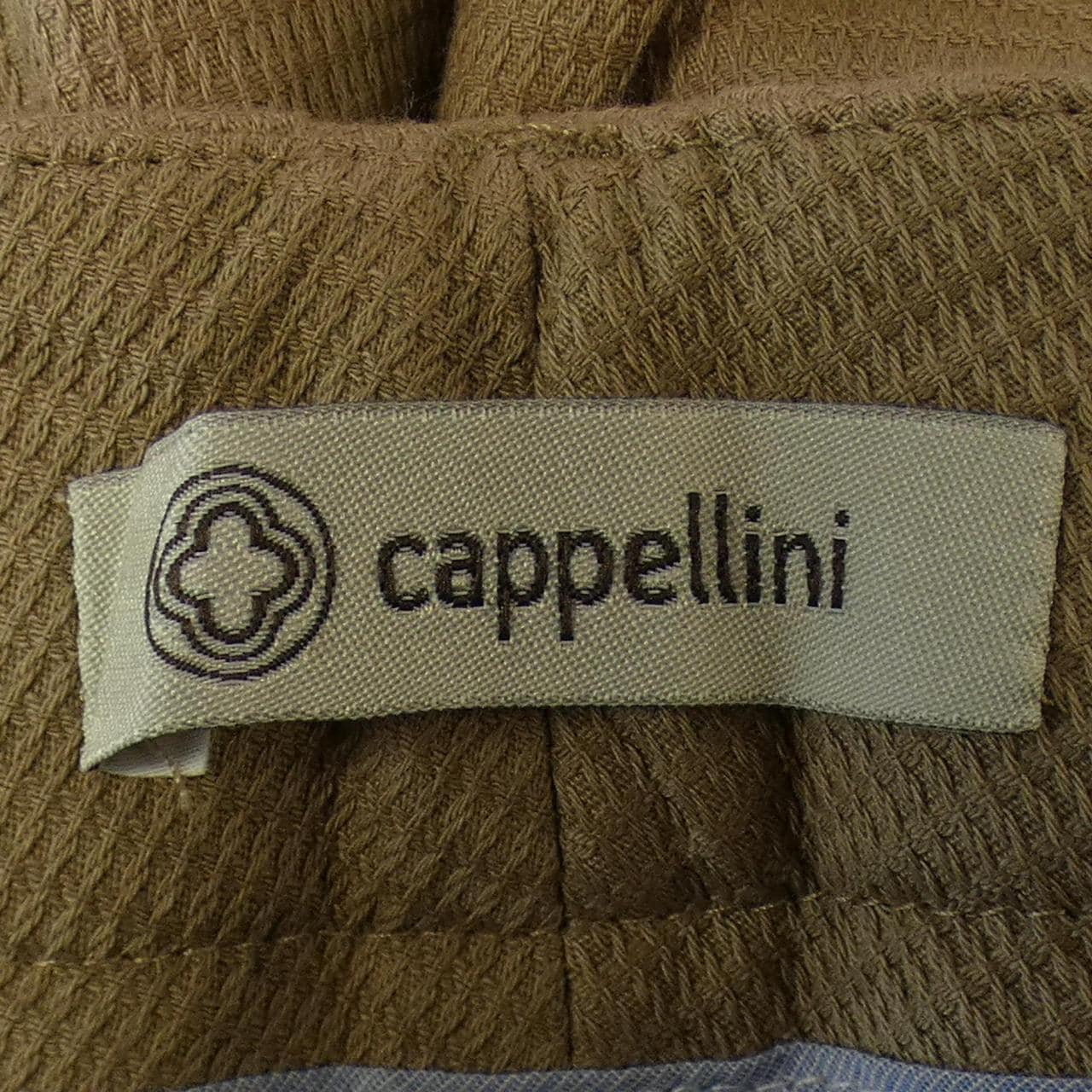 CAPPELLINI Pants